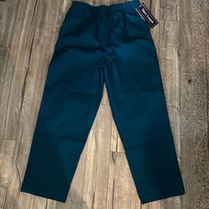 Laura Scott Short Length Pants Lagoon Teal Elastic Waist Womens Plus Size 14 NWT
